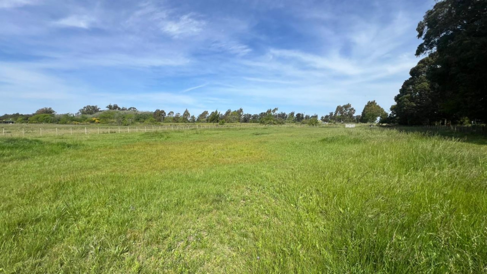 VENTA LOTE VERONICA 5000M² T-809