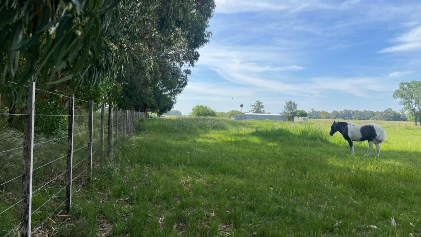 VENTA LOTE VERONICA 5000M² T-809