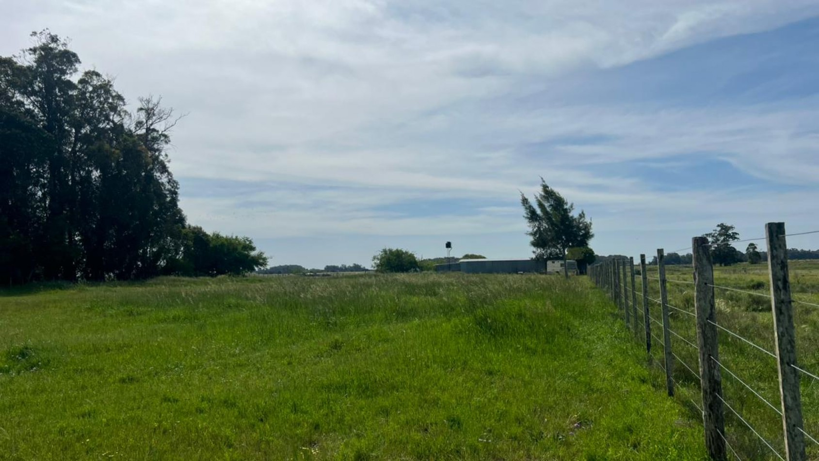 VENTA LOTE VERONICA 5000M² T-809