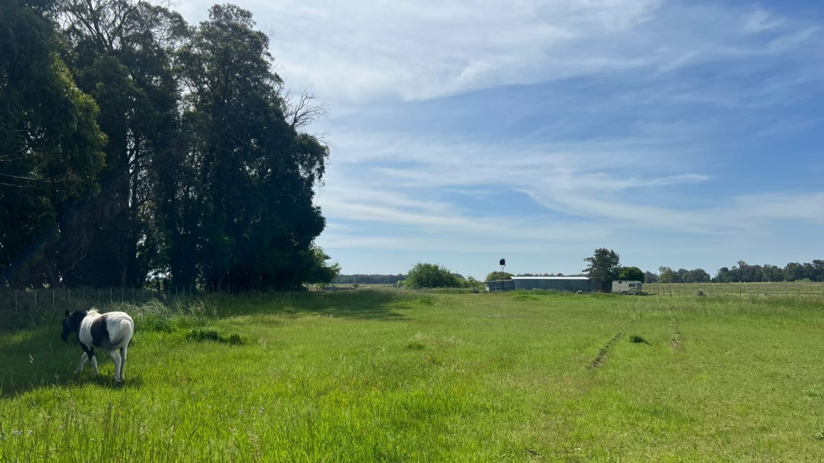 VENTA LOTE VERONICA 5000M² T-809