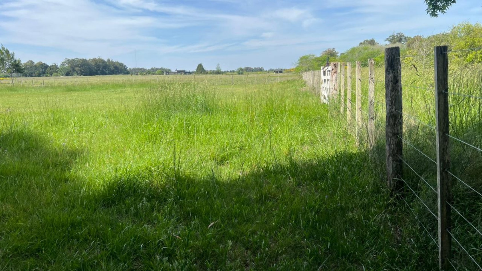 VENTA LOTE VERONICA 5000M² T-809