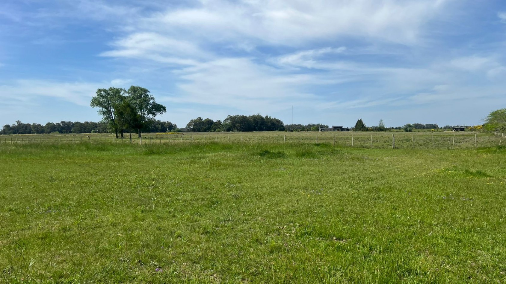 VENTA LOTE VERONICA 5000M² T-809