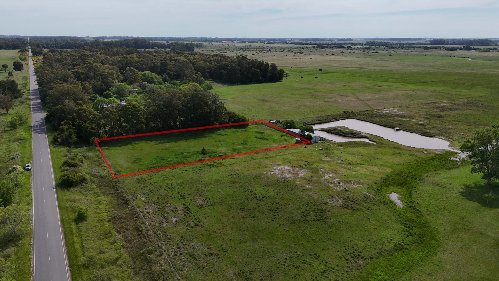 VENTA LOTE VERONICA 5000M² T-809