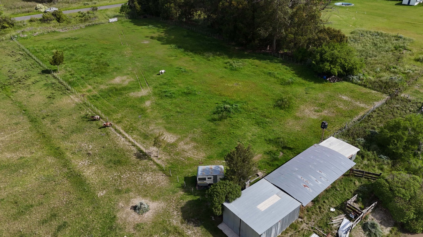 VENTA LOTE VERONICA 5000M² T-809