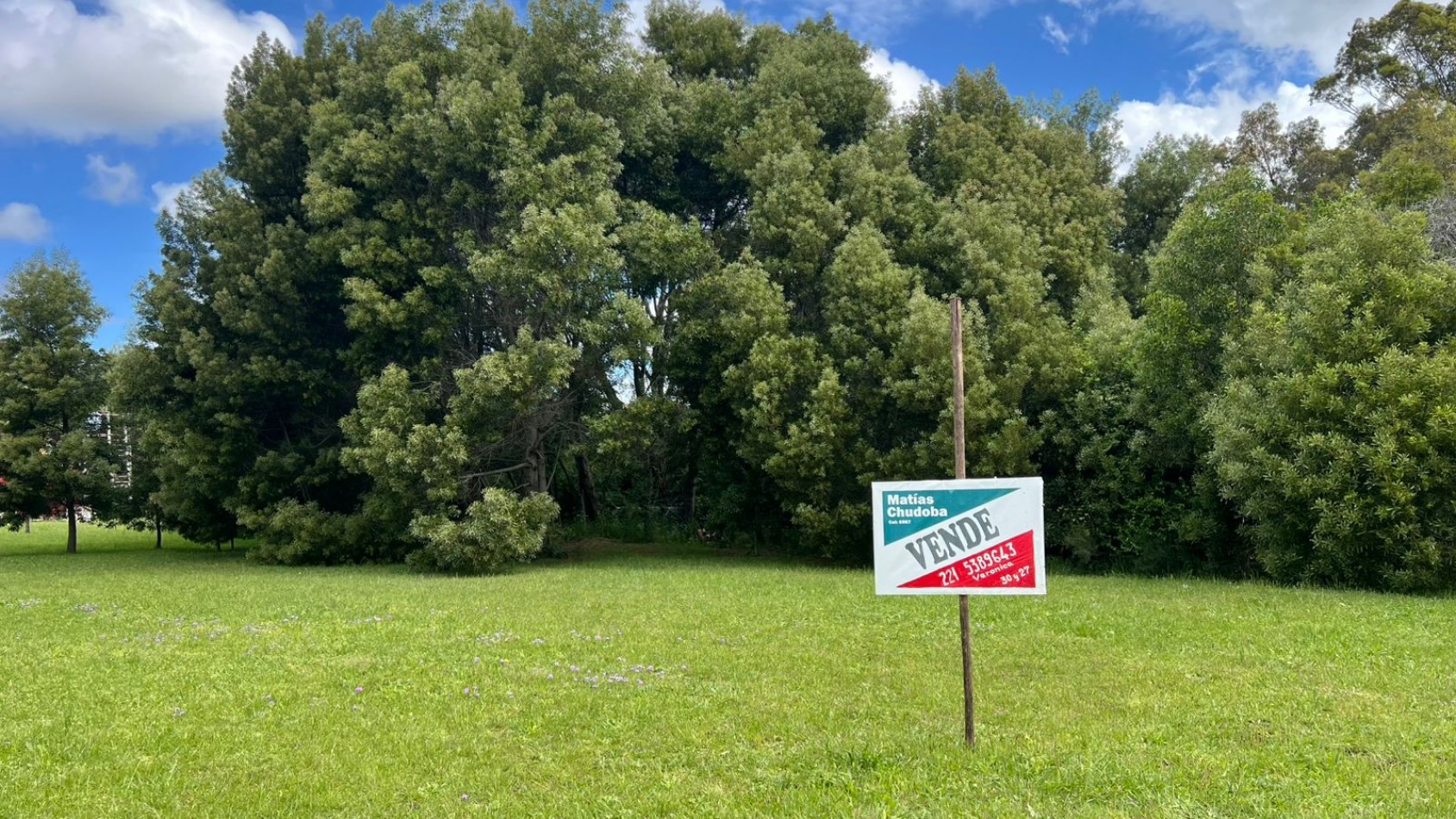 VENTA LOTE VERONICA T-811