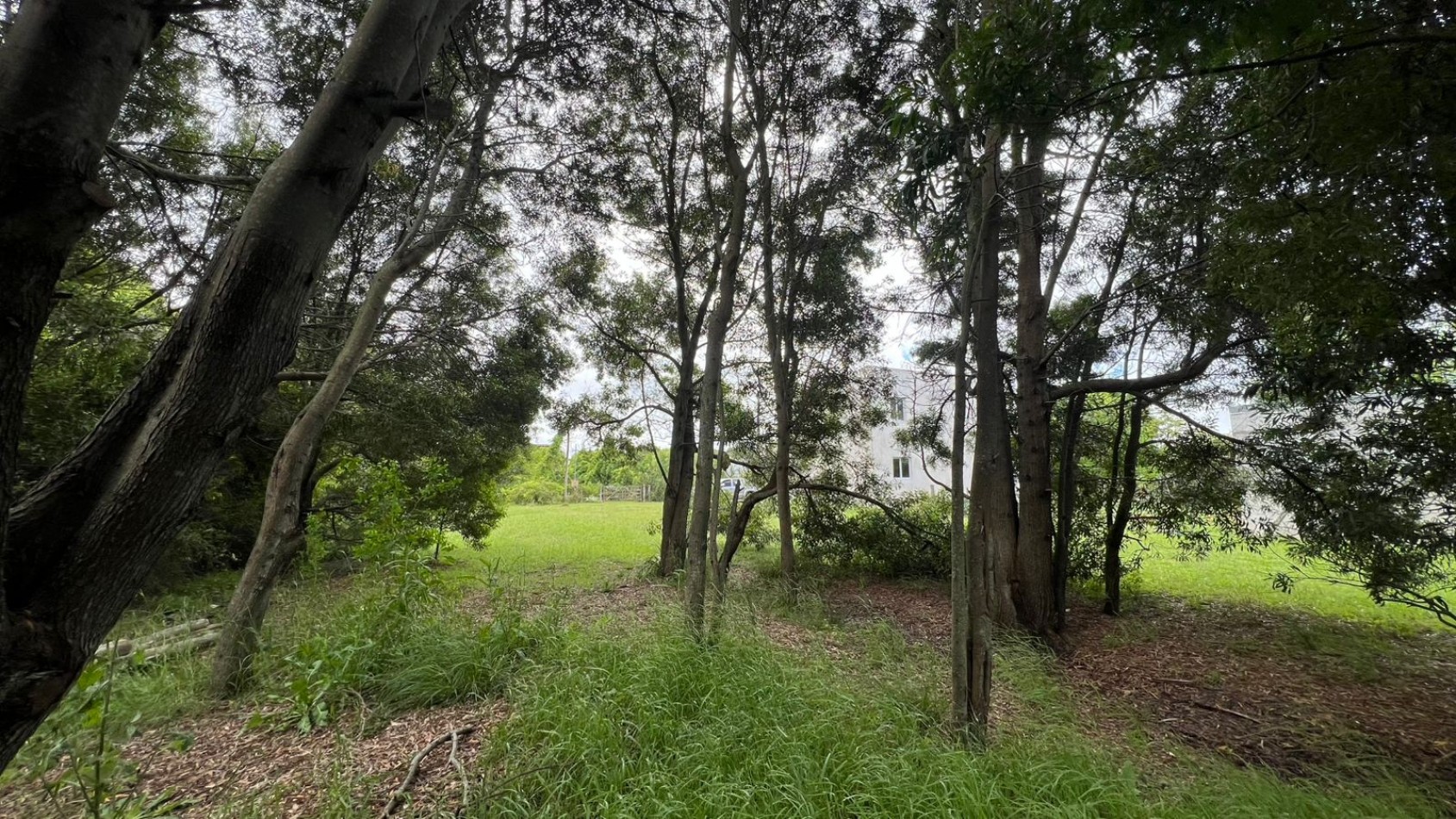 VENTA LOTE VERONICA T-811