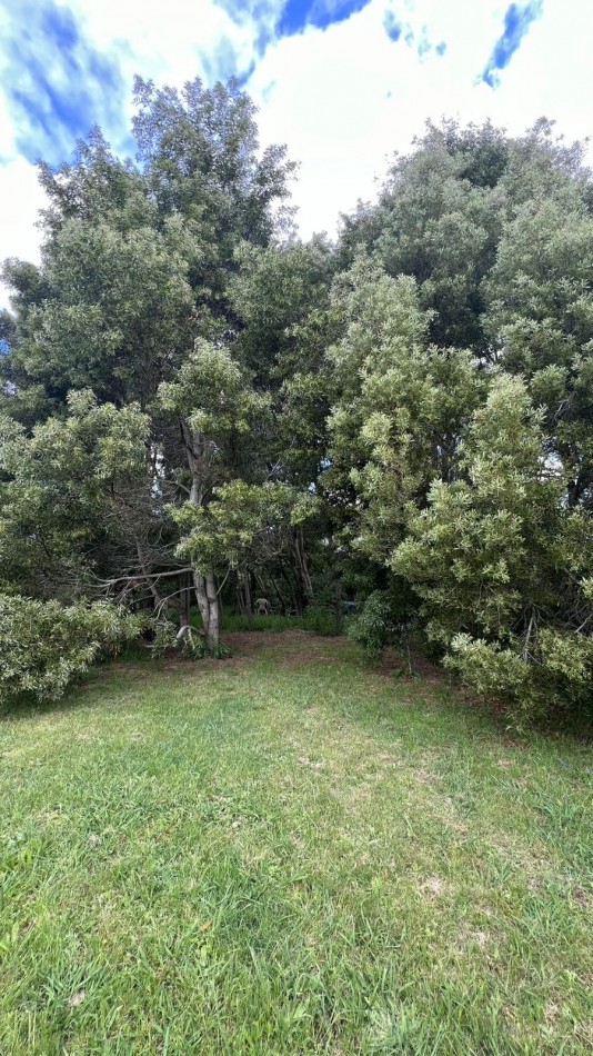 VENTA LOTE VERONICA T-811