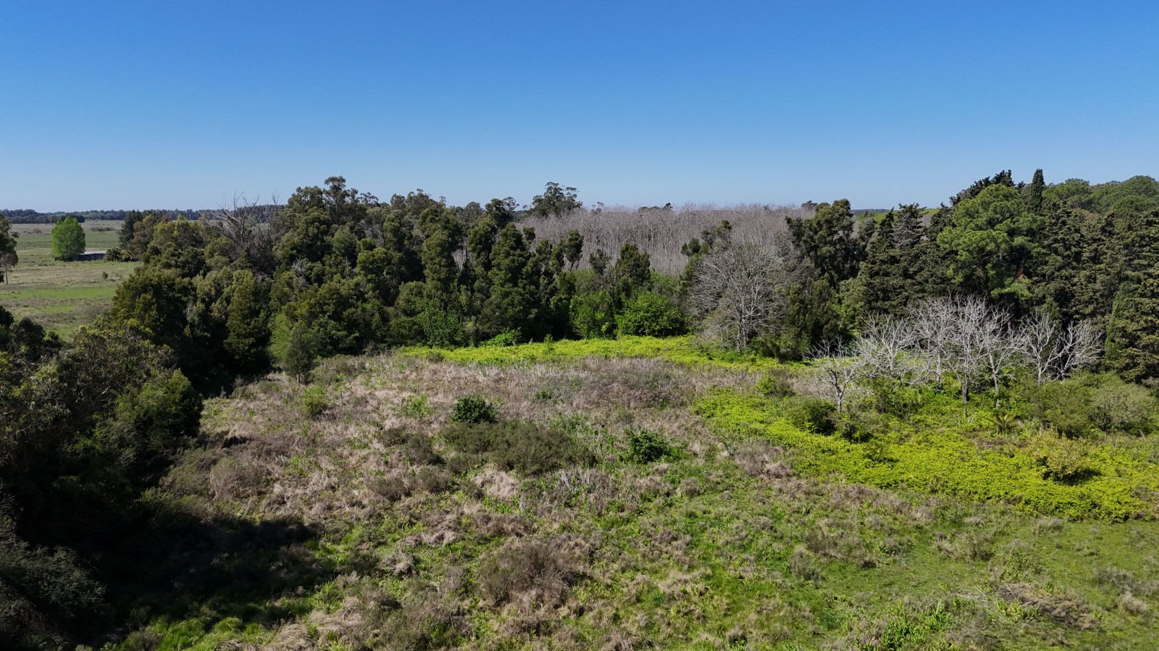 VENTA FRACCION 1,5 / 3 HAS VERONICA 