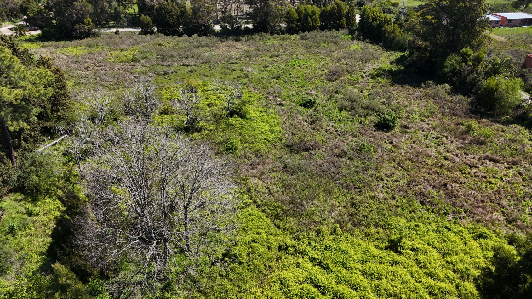 VENTA FRACCION 1,5 / 3 HAS VERONICA 