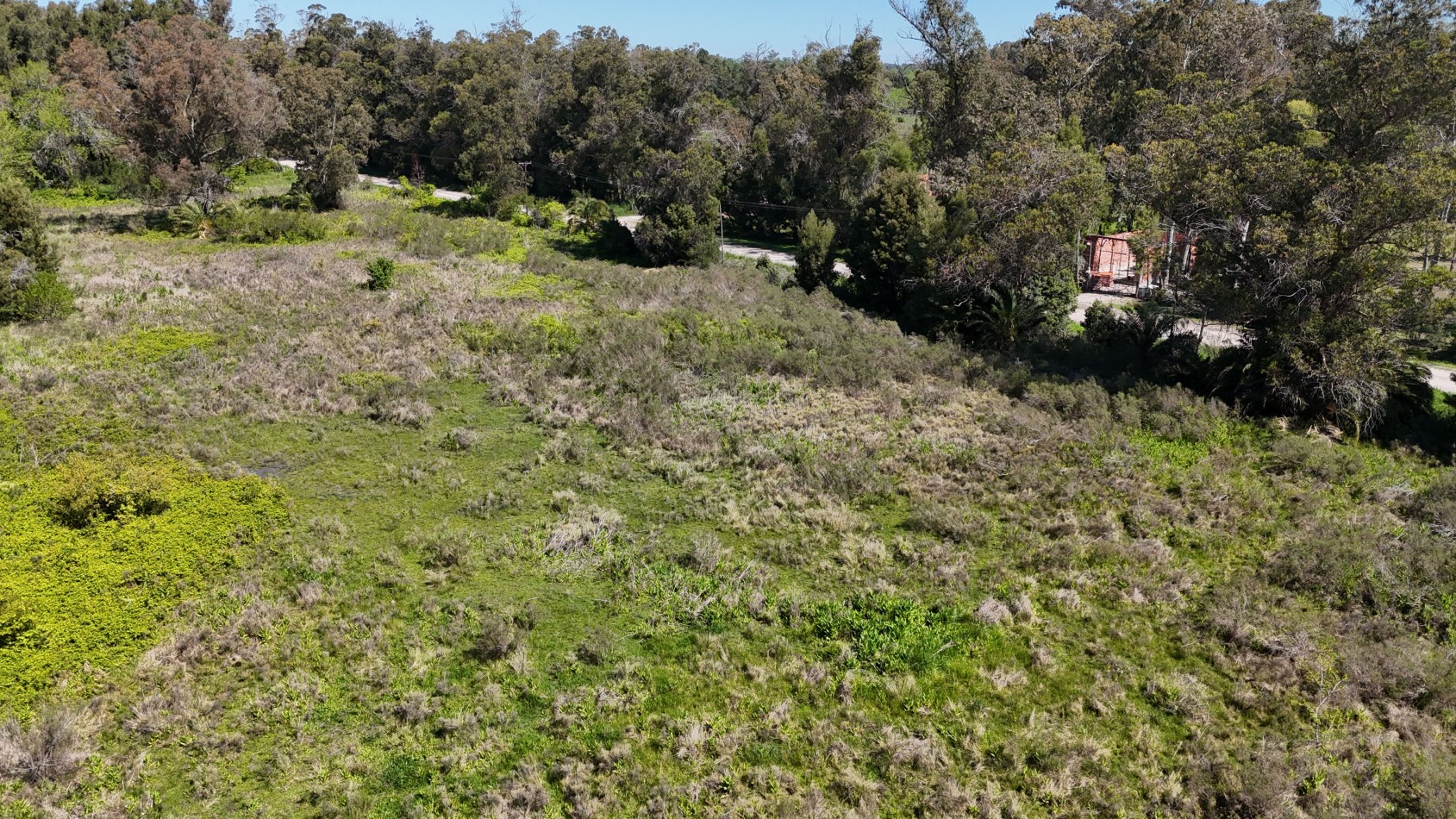 VENTA FRACCION 1,5 / 3 HAS VERONICA 