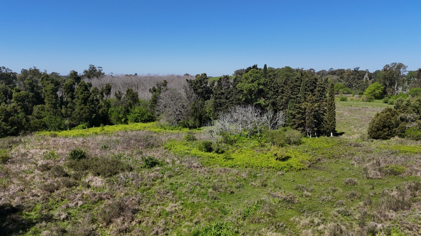 VENTA FRACCION 1,5 / 3 HAS VERONICA 