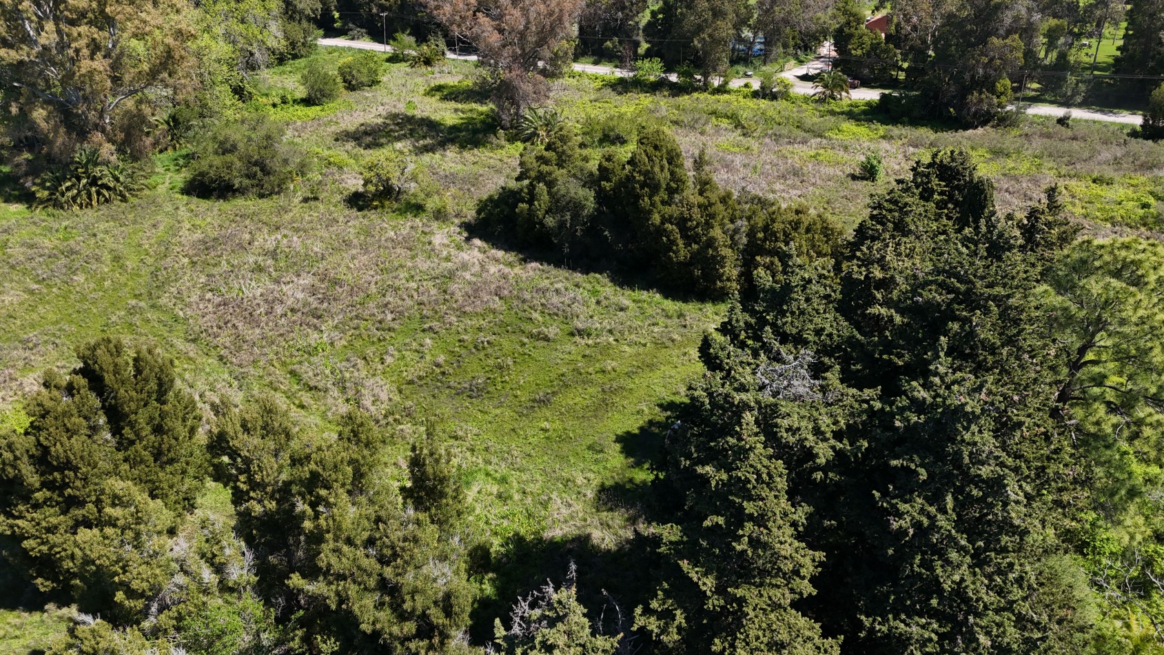 VENTA FRACCION 1,5 / 3 HAS VERONICA 