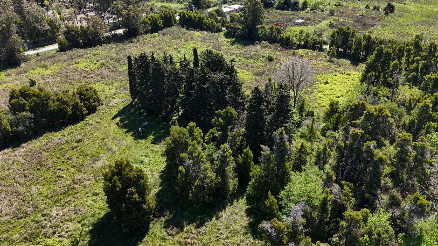 VENTA FRACCION 1,5 / 3 HAS VERONICA 