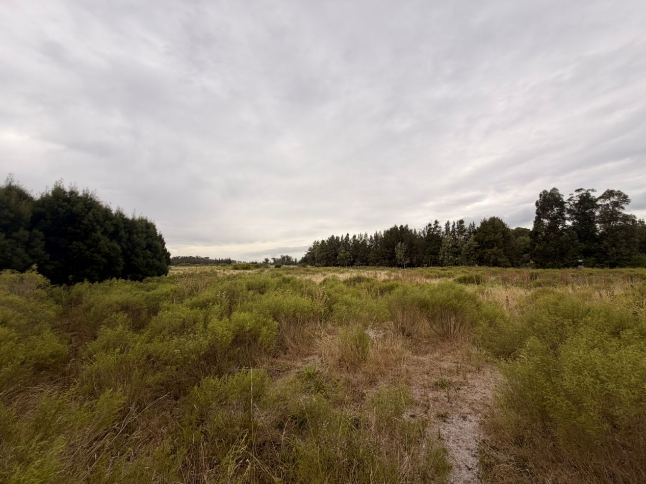 VENTA AMPLIOS LOTES VERONICA T-814