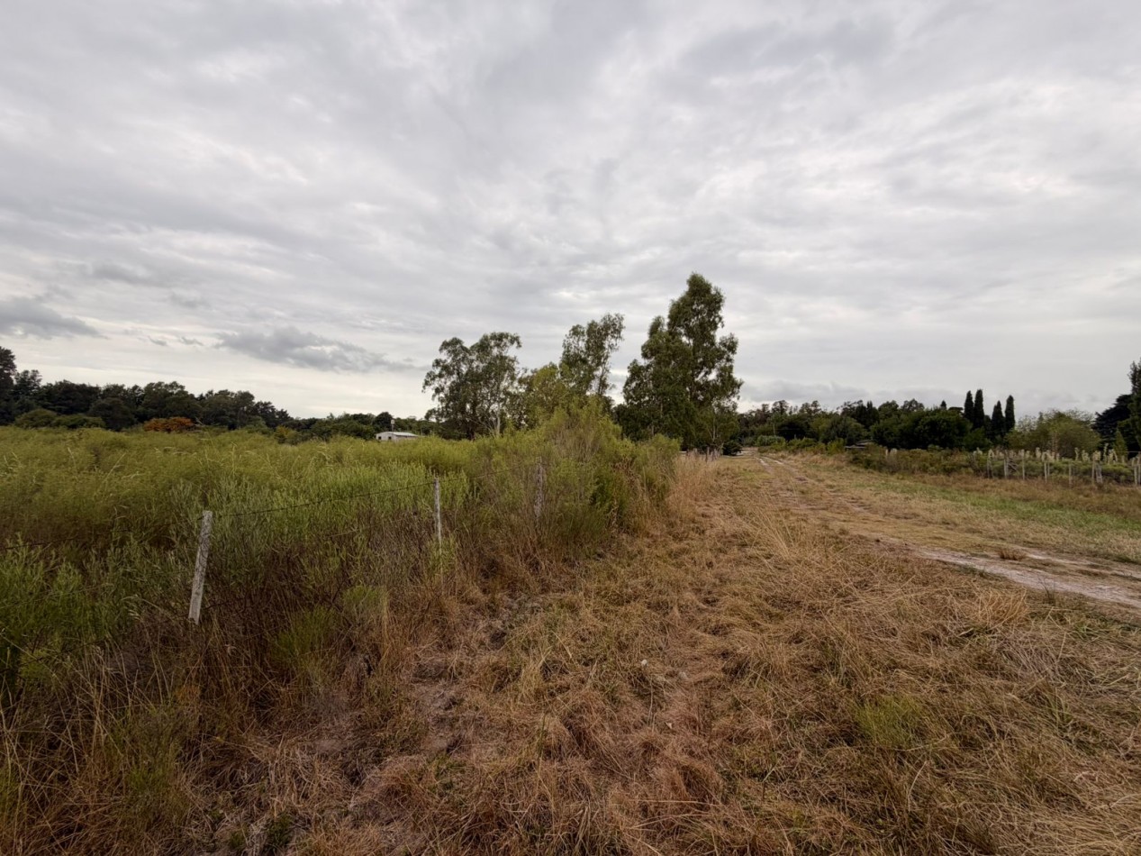 VENTA AMPLIOS LOTES VERONICA T-814