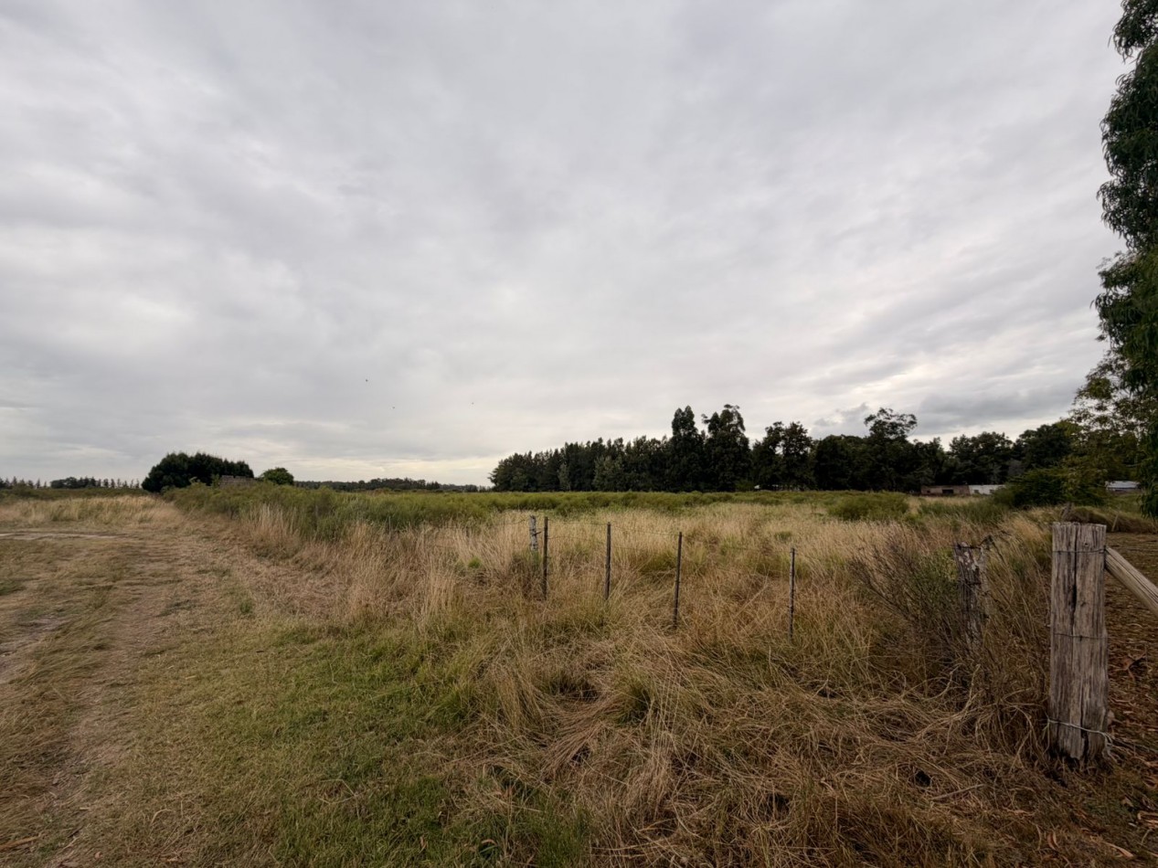 VENTA AMPLIOS LOTES VERONICA T-814