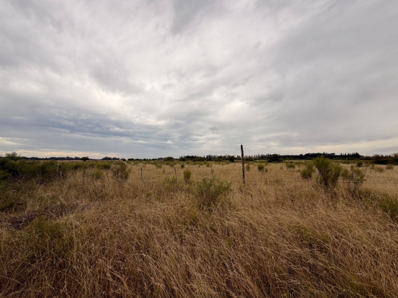 VENTA AMPLIOS LOTES VERONICA T-814