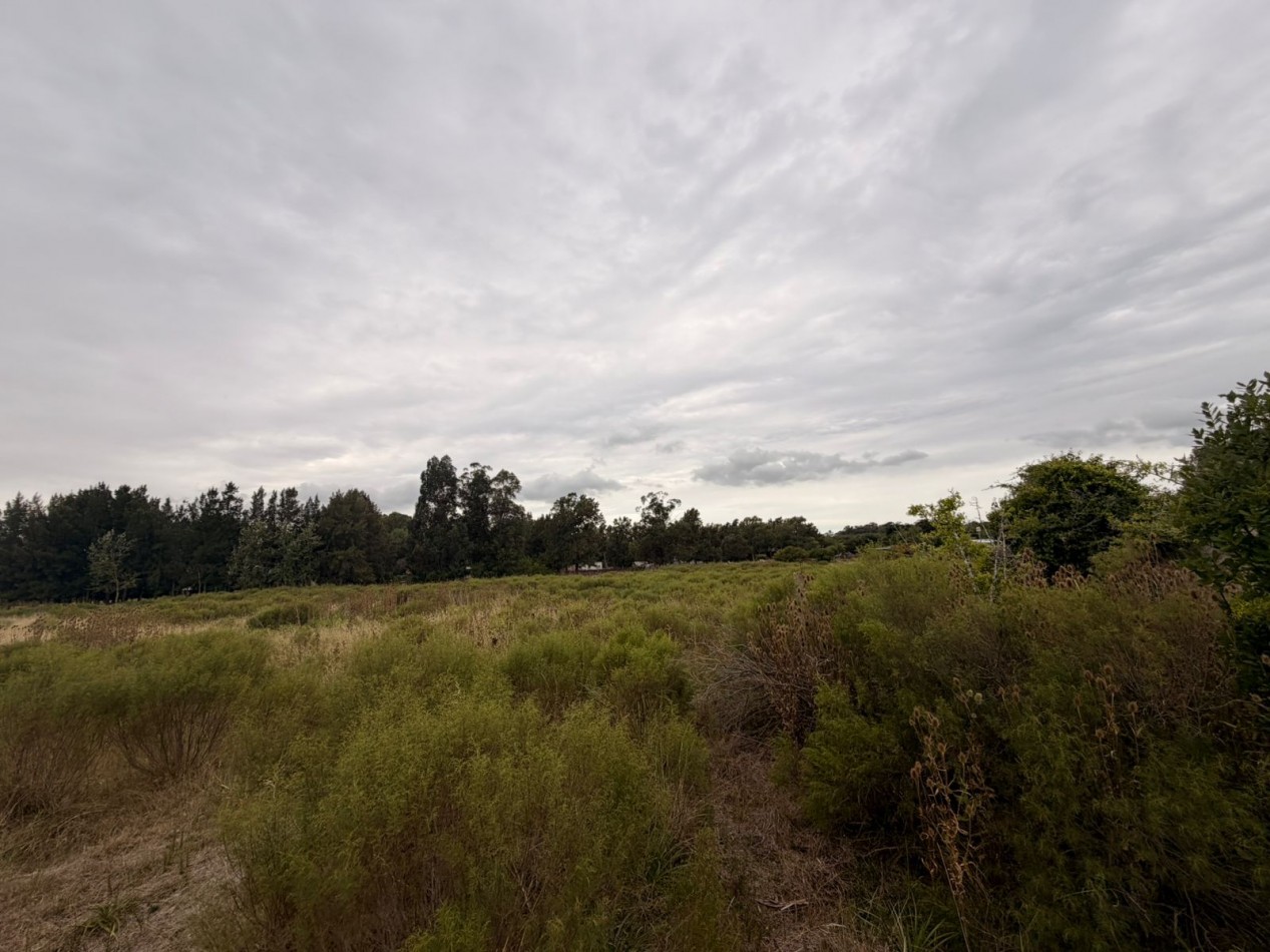 VENTA AMPLIOS LOTES VERONICA T-814