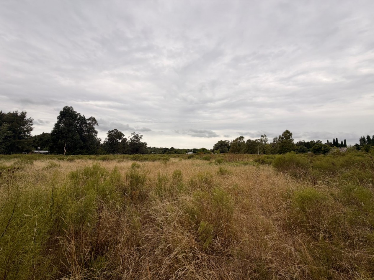 VENTA AMPLIOS LOTES VERONICA T-814