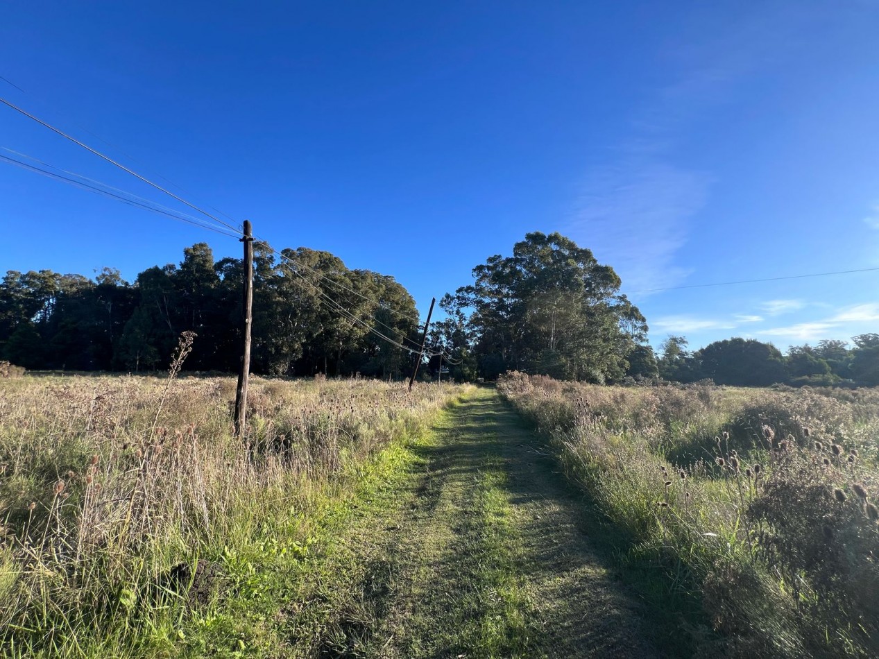 CASA QUINTA VENTA VERONICA - PUNTA INDIO