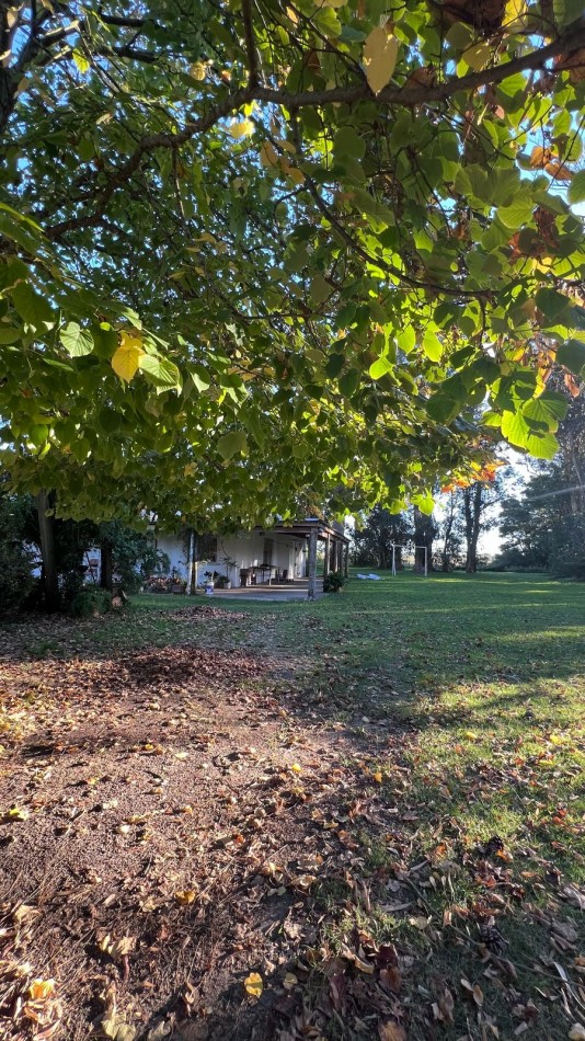 CASA QUINTA VENTA VERONICA - PUNTA INDIO