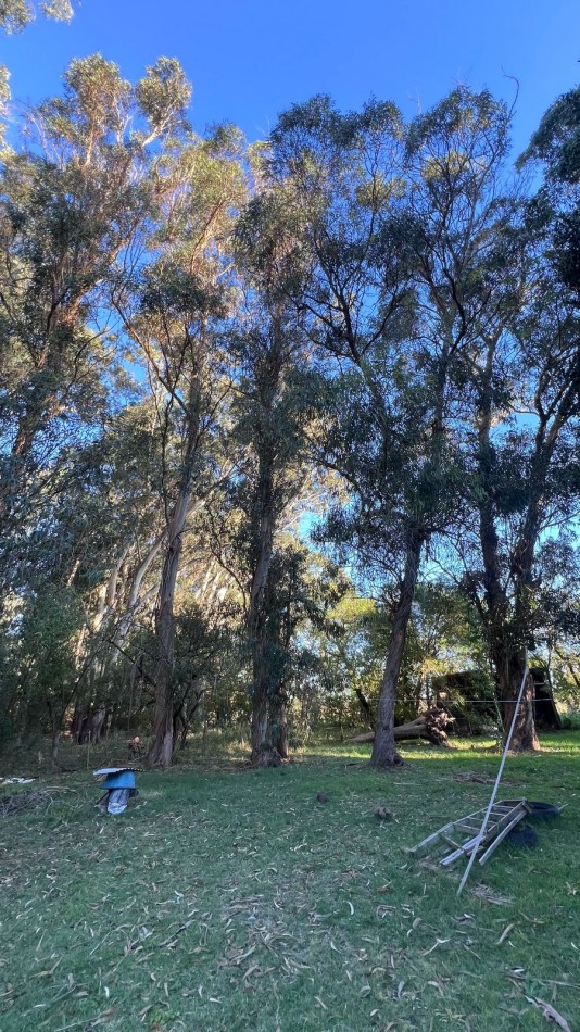 CASA QUINTA VENTA VERONICA - PUNTA INDIO