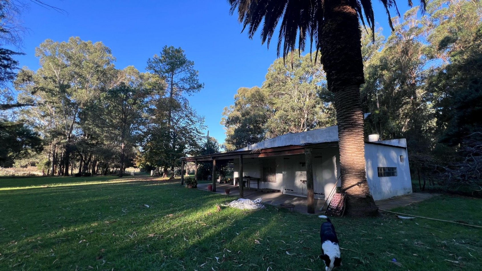 CASA QUINTA VENTA VERONICA - PUNTA INDIO