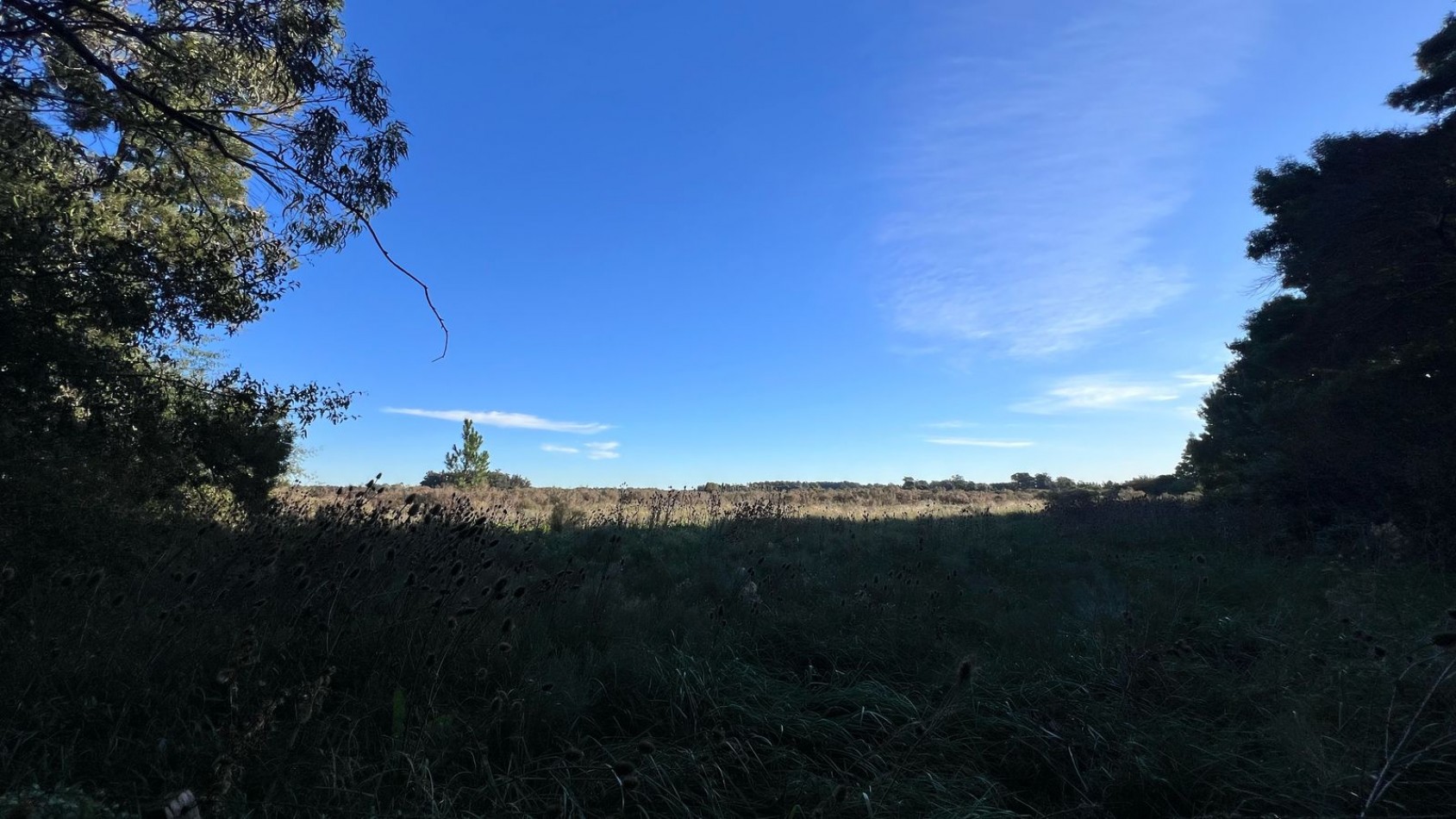 CASA QUINTA VENTA VERONICA - PUNTA INDIO