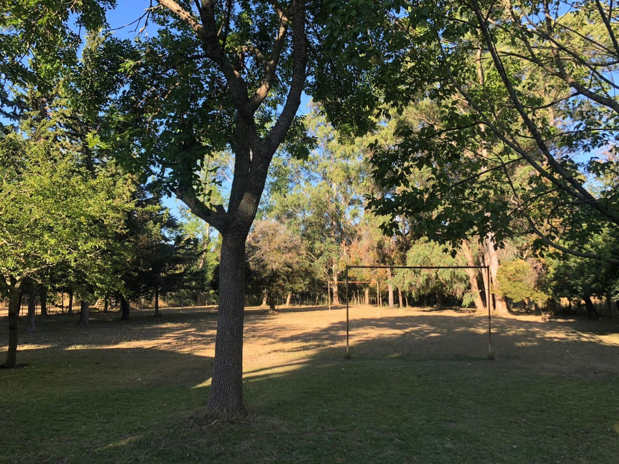 VENTA CASA QUINTA VERONICA