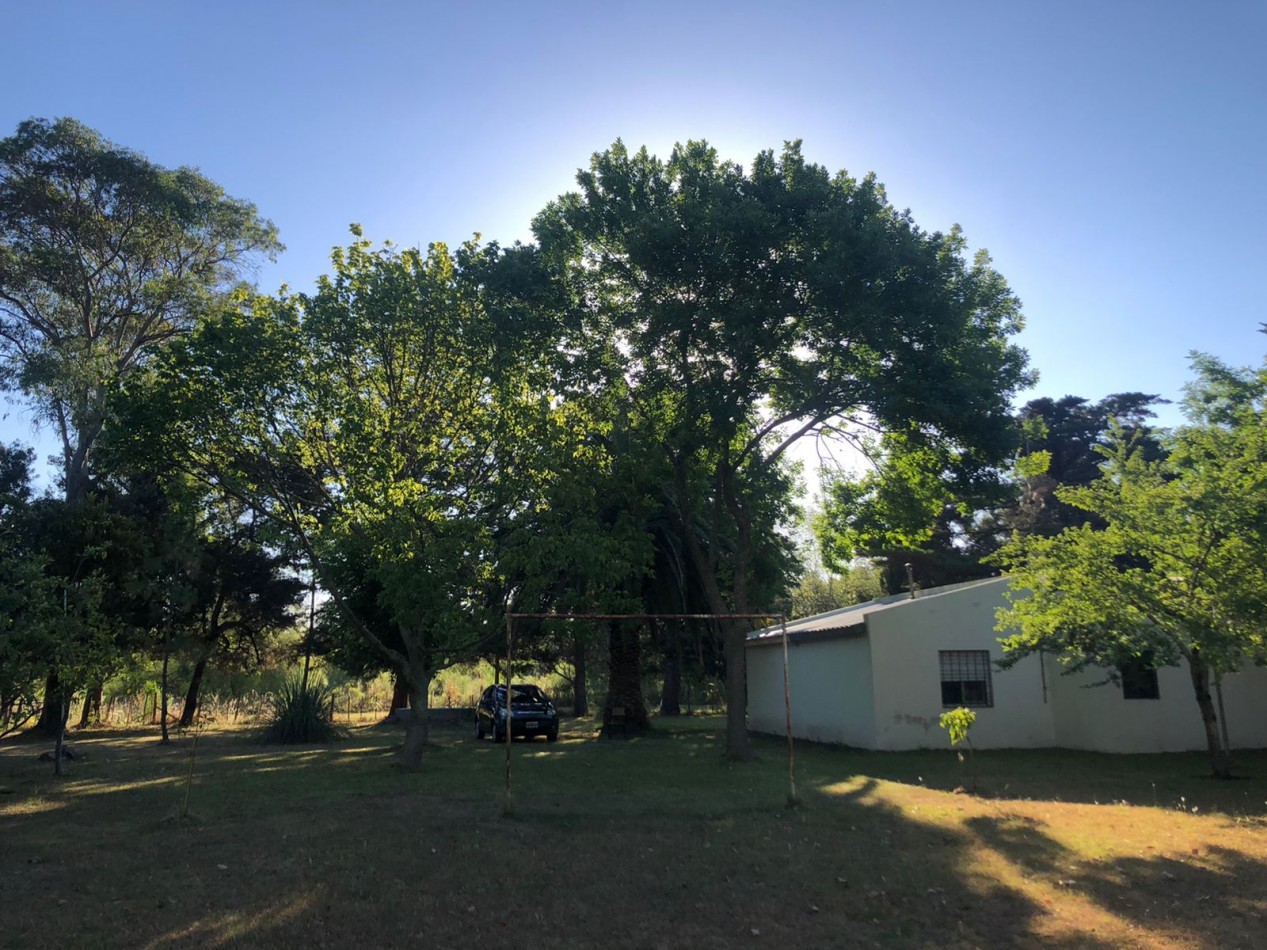 VENTA CASA QUINTA VERONICA