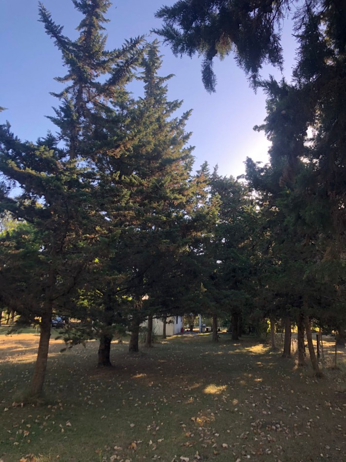 VENTA CASA QUINTA VERONICA