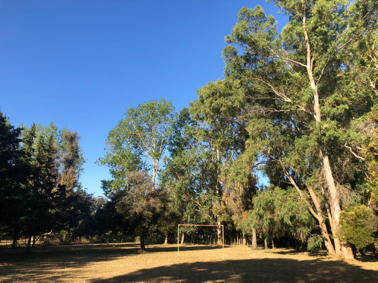 VENTA CASA QUINTA VERONICA