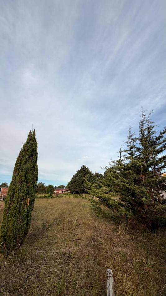 VENTA LOTE 700M² OPORTUNIDAD  - VERONICA - T-815