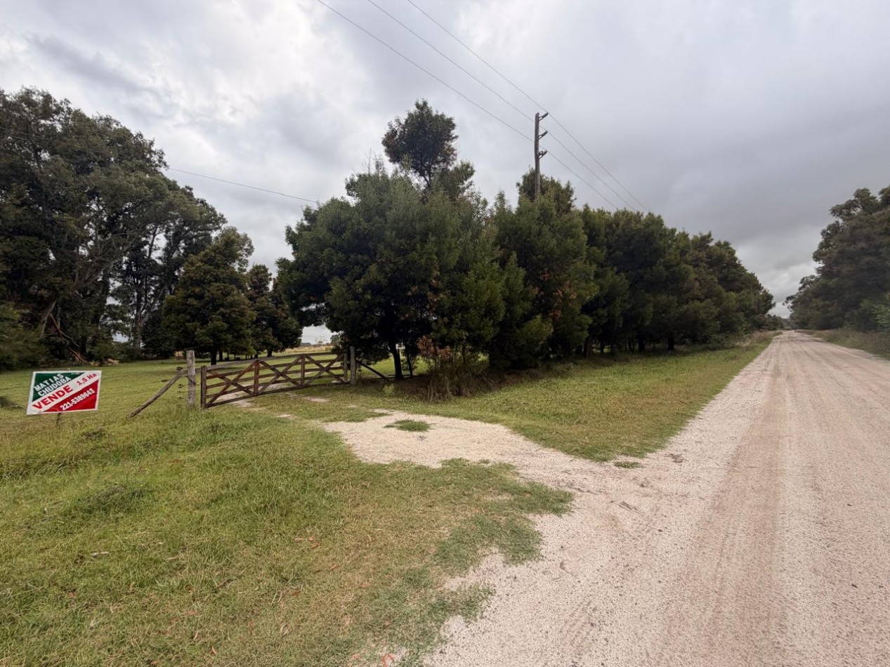 VENTA QUINTA VERONICA - PUNTA INDIO Q-344