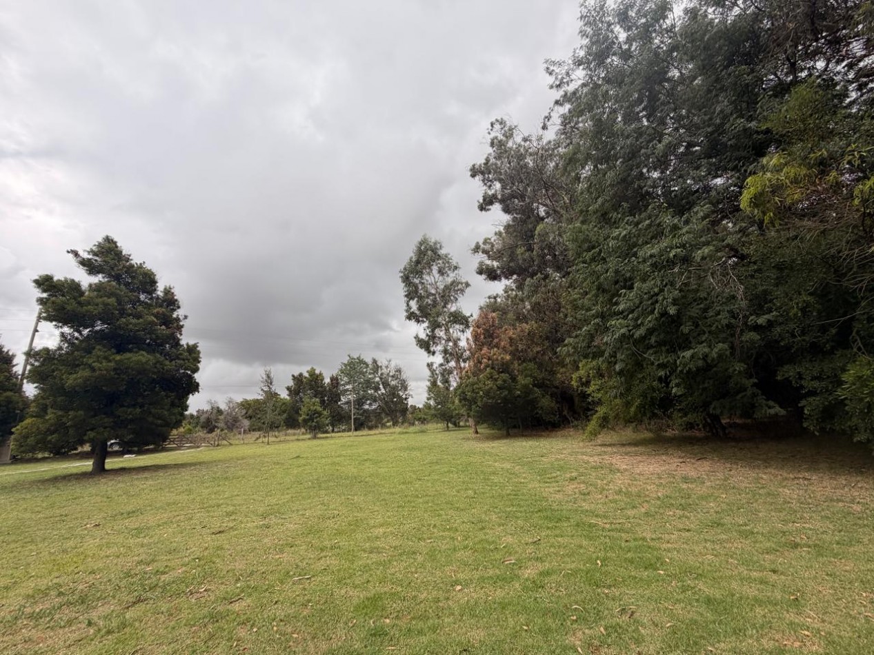 VENTA QUINTA VERONICA - PUNTA INDIO Q-344
