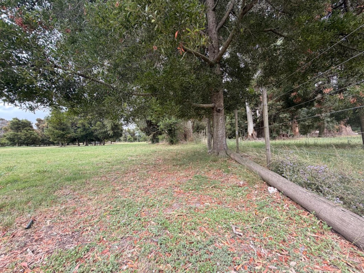 VENTA QUINTA VERONICA - PUNTA INDIO Q-344