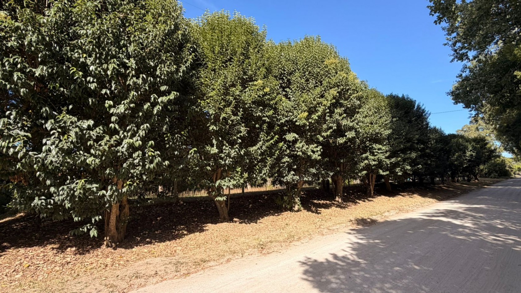 VENTA LOTE C/ PISCINA - PUNTA INDIO