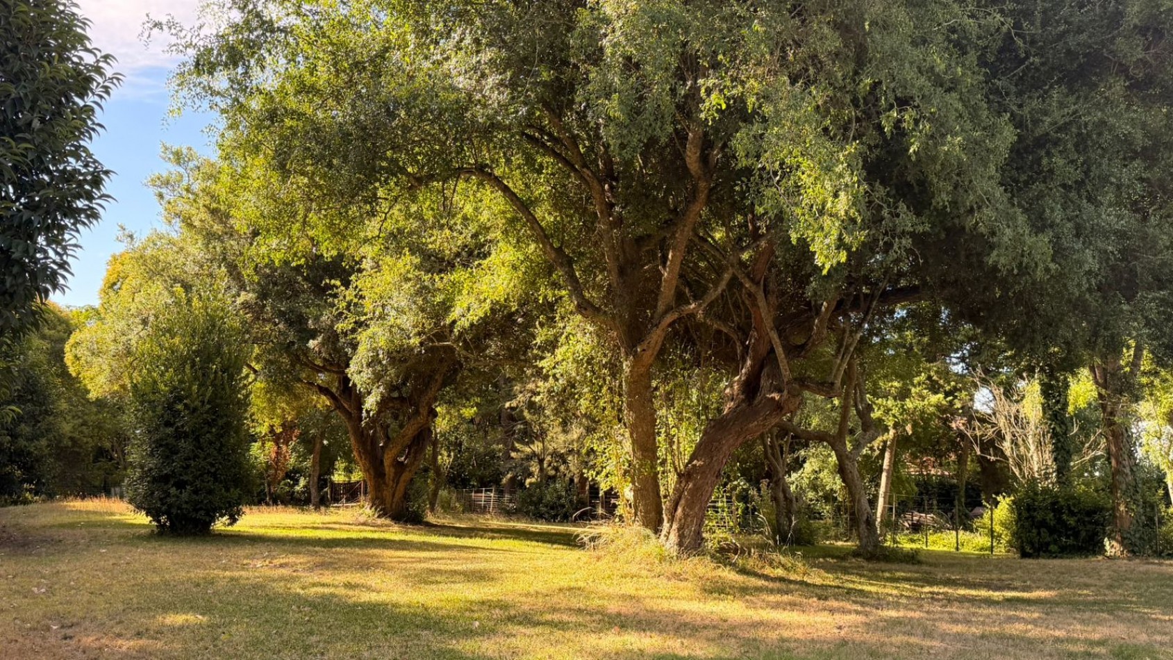 VENTA LOTE C/ PISCINA - PUNTA INDIO