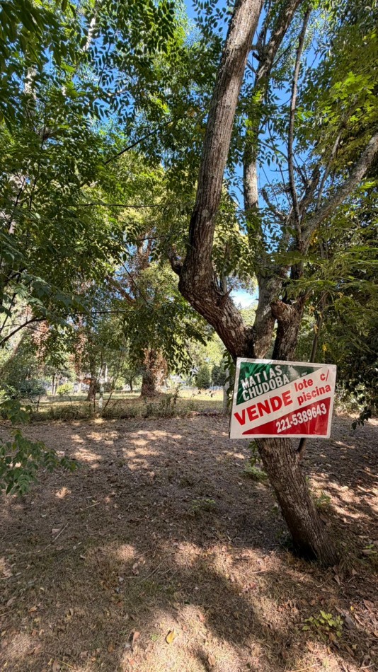 VENTA LOTE C/ PISCINA - PUNTA INDIO