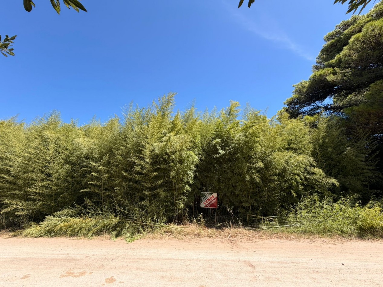 VENTA LOTE PUNTA DEL INIDIO T-816
