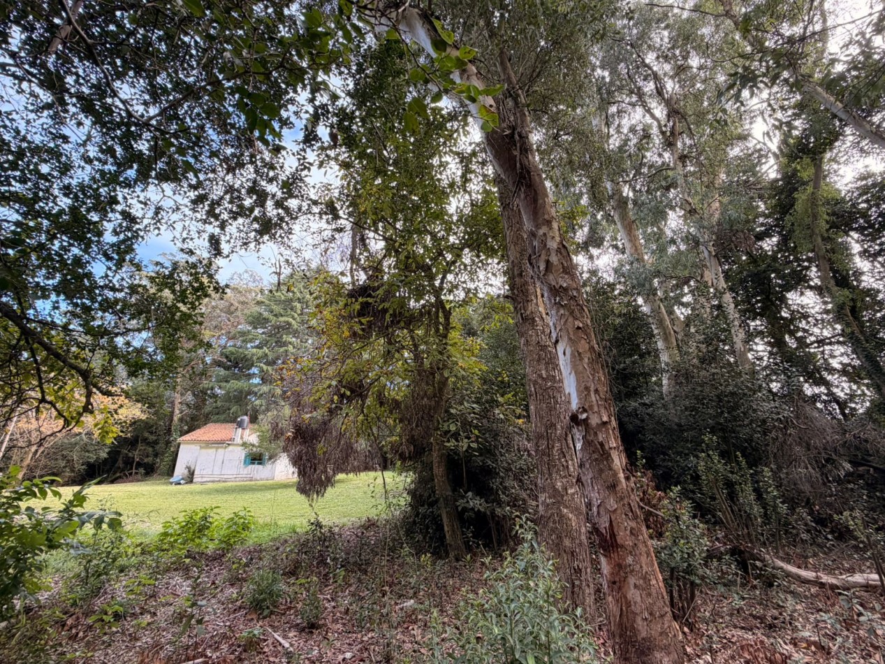 VENTA CASA QUINTA PUNTA INDIO K-1227