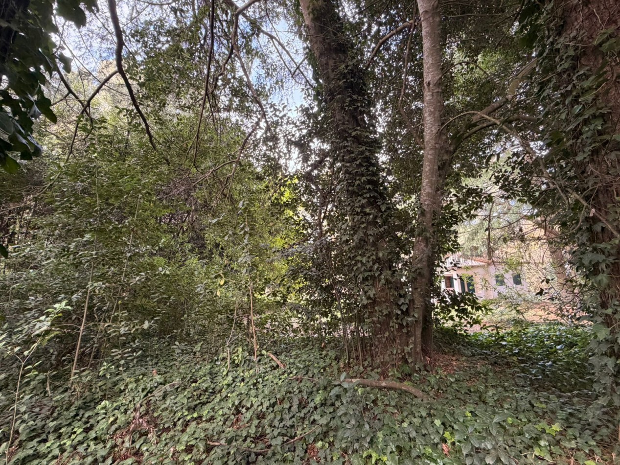 VENTA CASA QUINTA PUNTA INDIO K-1227