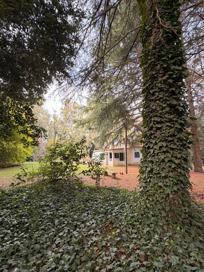 VENTA CASA QUINTA PUNTA INDIO K-1227