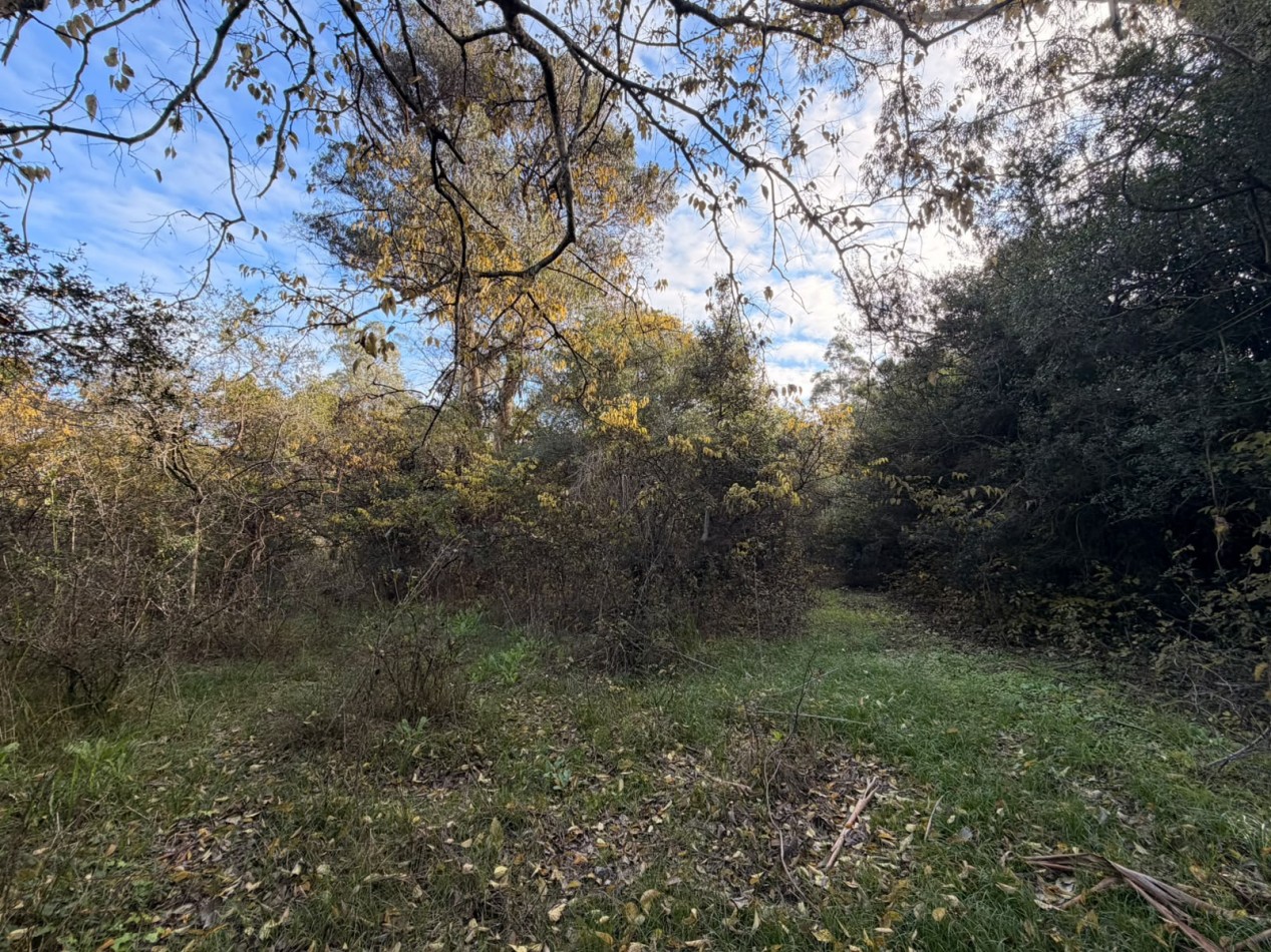 VENTA LOTE PUNTA INDIO 5000M² T-820