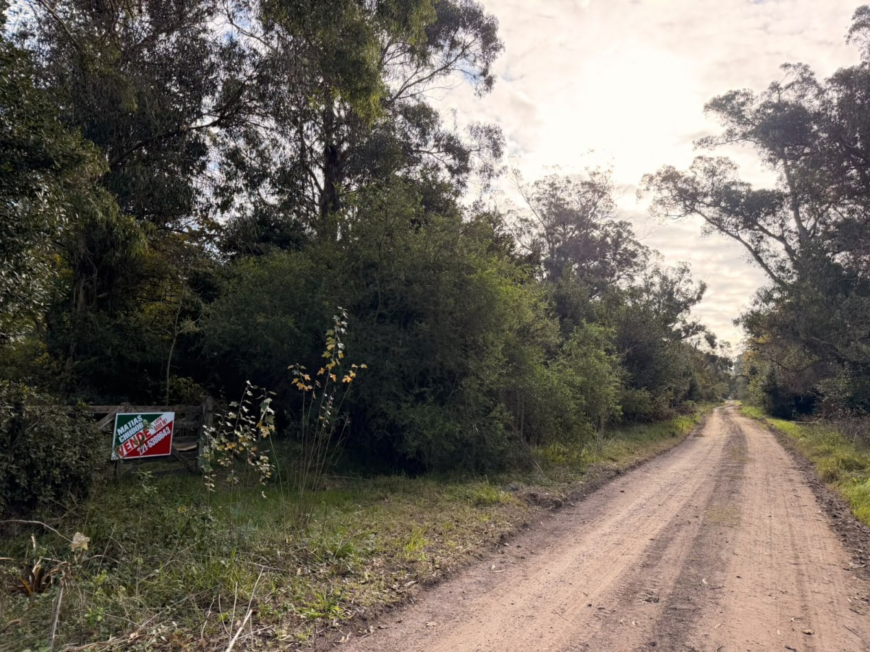 VENTA LOTE PUNTA INDIO 5000M² T-820