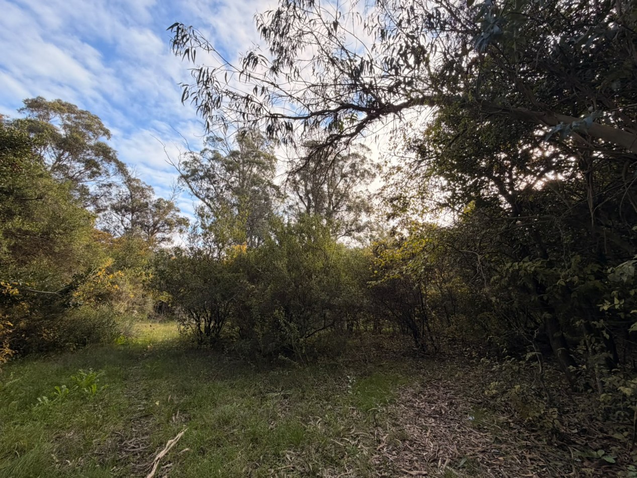 VENTA LOTE PUNTA INDIO 5000M² T-820