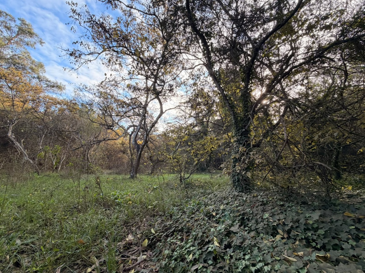 VENTA LOTE PUNTA INDIO 5000M² T-820