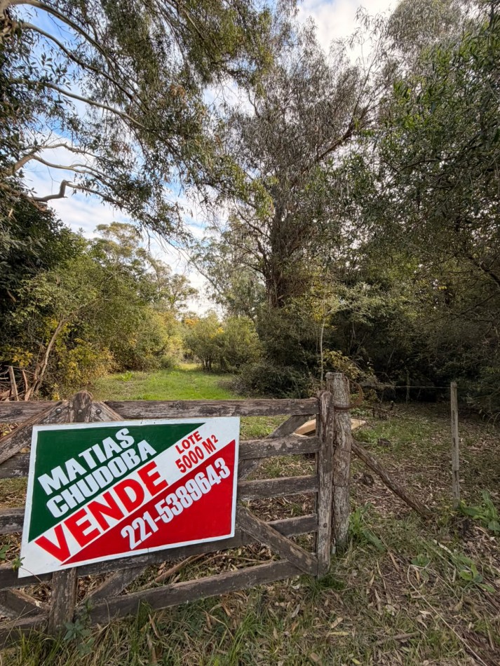 VENTA LOTE PUNTA INDIO 5000M² T-820