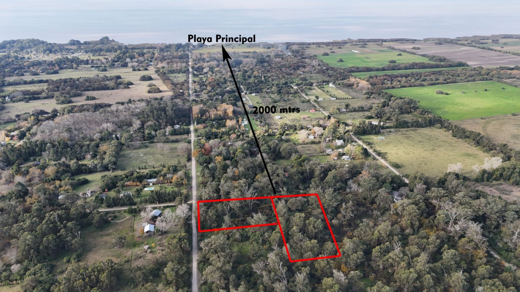 VENTA LOTE 10000M² -  1 HA - PUNTA INDIO