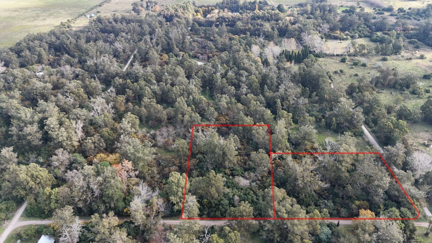 VENTA LOTE 10000M² -  1 HA - PUNTA INDIO